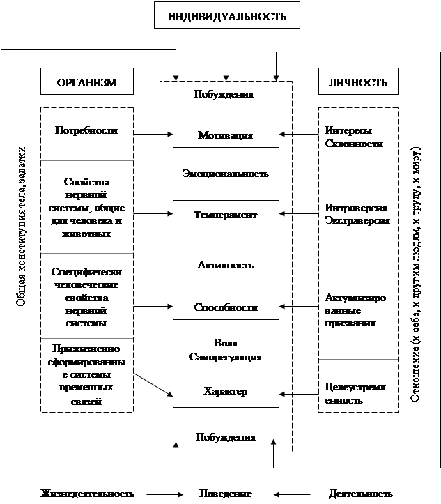 Схема индивид личность индивидуальность