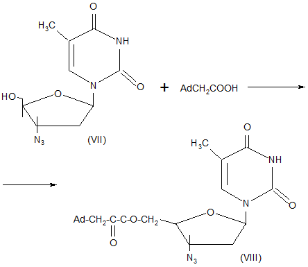Схема образования тимидина