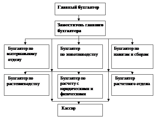 Типы организации бухгалтерии