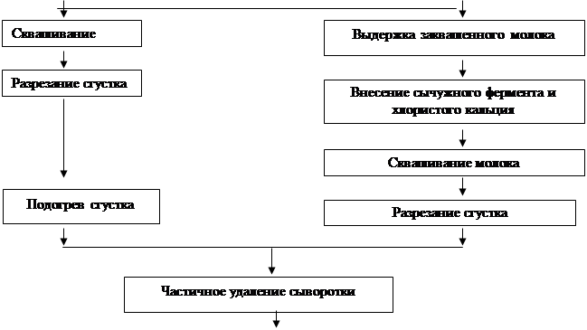 Технологическая схема творога традиционным способом