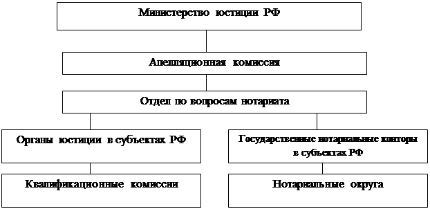 Структура нотариата схема