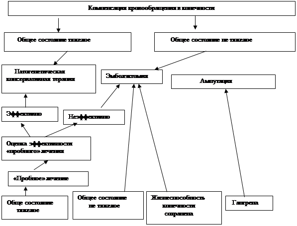 Графологическая схема грудная аорта