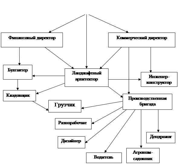 Маркетинговый план курсовая