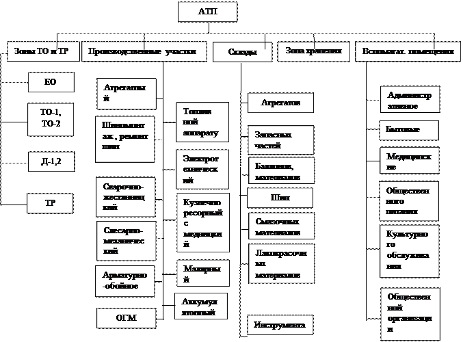 Виды автотранспортных организаций