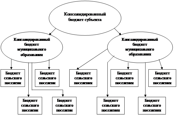 Мониторинг исполнения местных бюджетов