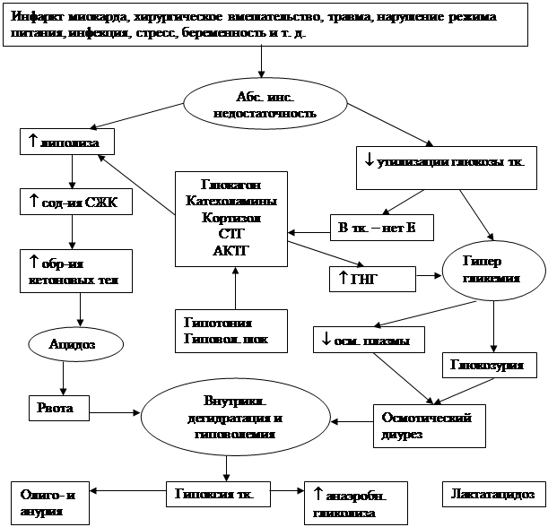 Патогенез полиурии при сахарном диабете