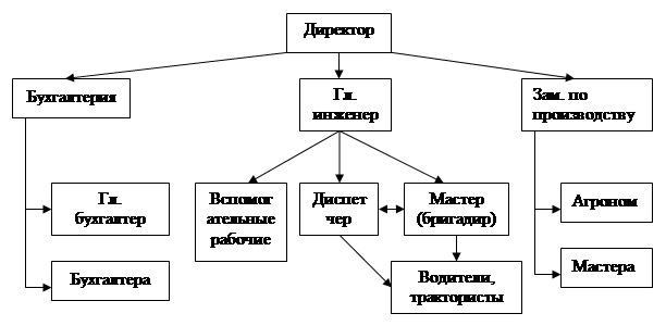 Организационная структура сельскохозяйственного предприятия схема