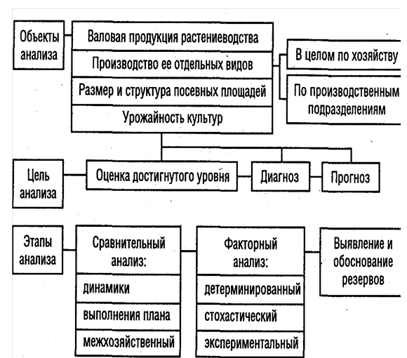 Растениеводство курсовая. Переработке продукции растениеводства и животноводства. Переработка продукции растениеводства. Процессы растениеводства. Бизнес процессы в растениеводстве.