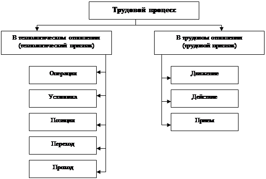 Виды трудовых процессов