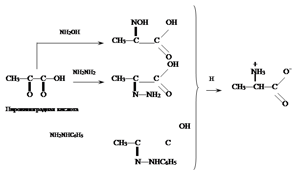 Схема микробиологического синтеза аминокислот