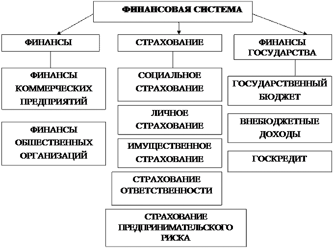 Общая схема финансового устройства в российской федерации